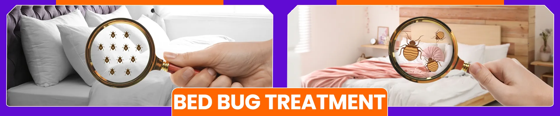 carpet cleaning in bronx, carpet cleaning in bronx, carpet cleaning bronx, carpet cleaners in bronx, carpet cleaners in bronx, commercial carpet cleaning, commercial carpet cleaning in bronx, bronx rug cleaners, rug cleaning services in bronx, same day carpet cleaning, same day rug cleaning