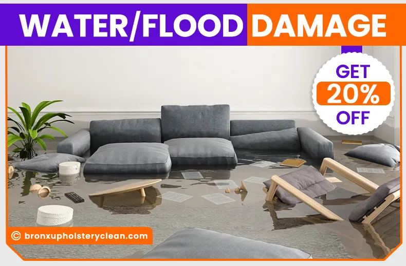 carpet cleaning in bronx, carpet cleaning in new york, carpet cleaning bronx, carpet cleaners in bronx, carpet cleaners in new york, commercial carpet cleaning, commercial carpet cleaning in bronx, bronx rug cleaners, rug cleaning services in bronx, same day carpet cleaning, same day rug cleaning