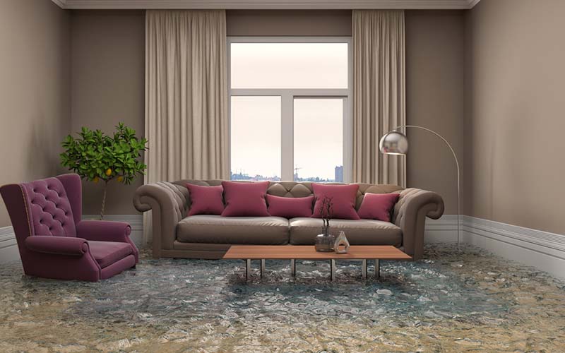 carpet cleaning in bronx, carpet cleaning in bronx, carpet cleaning bronx, carpet cleaners in bronx, carpet cleaners in bronx, commercial carpet cleaning, commercial carpet cleaning in bronx, bronx rug cleaners, rug cleaning services in bronx, same day carpet cleaning, same day rug cleaning